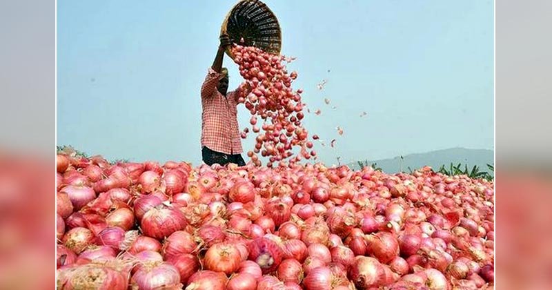 प्रदेश में प्याज की खपत पूरी करेगा बुन्देलखण्ड