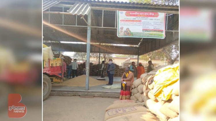 हमीरपुर : 124 किसानों को मिला समर्थन मूल्य का लाभ 590 एमटी हुई धान की खरीद