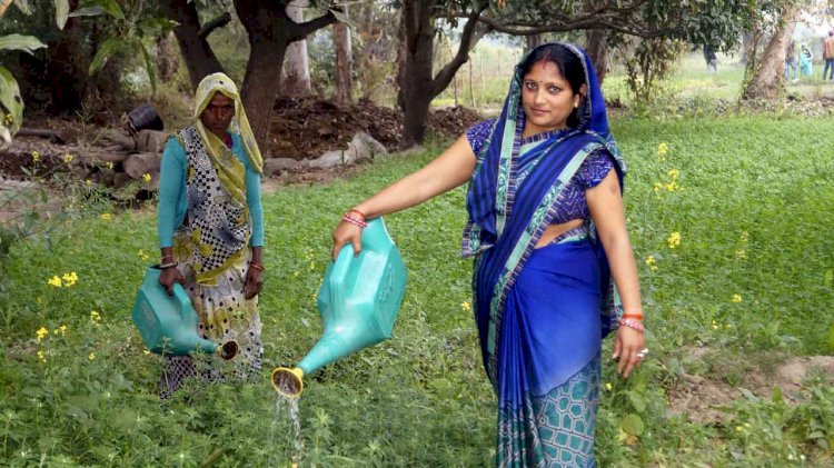 बांदा में जली मॉडल गांव की 'मशाल' अब चली हर गांव मे