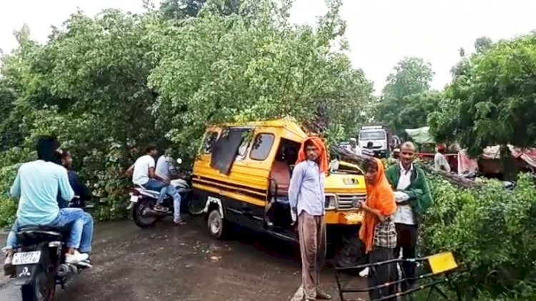 चलती गाड़ी में गिरा पेड़, लेखपाल सहित आधा दर्जन घायल