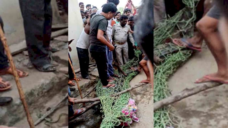 झाँसी : घर में घुसा मगरमच्छ, मचा हड़कंप, रेस्क्यू हुई जमकर मशक्कत