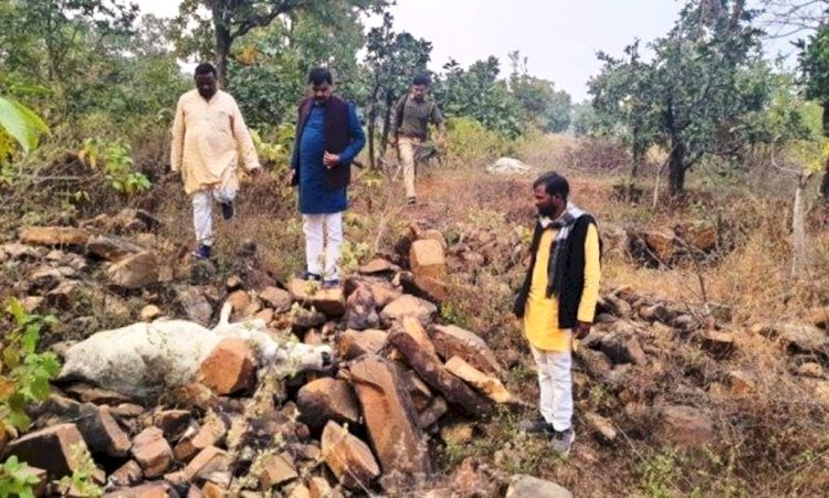 बांदा में अन्ना गायों को जिंदा दफन करने के मामले में शासन ने ईओ को किया निलंबित