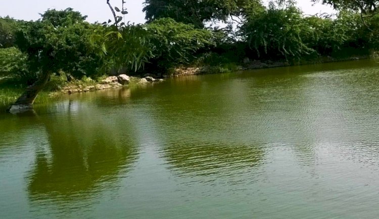 फ्रीडम फाइटर्स और शहीदों के गांव में विकसित होंगे अमृत सरोवर, 15 अगस्त से पहले पूरा हो जाएगा काम