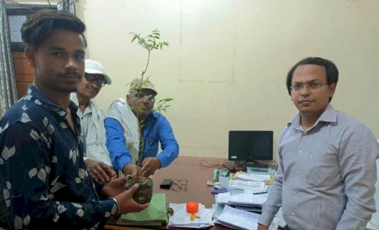 पर्यावरण प्रेमी उप जिला मजिस्ट्रेट की अनूठी पहल, लगायें पेड़ पायें जमानत