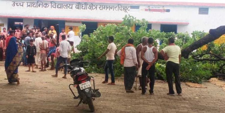 योगा कर रहे उच्च प्राथमिक विद्यालय के बच्चों पर पेड़ गिरा, आधा दर्जन बच्चे घायल