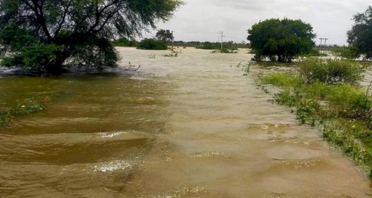 उत्तर प्रदेश में 12 जिलों के 252 गांव बाढ़ से प्रभावित