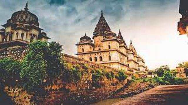 बुंदेलखंड बनेगा वाइल्ड लाइफ टूरिज्म का हब, चित्रकूट में टाइगर रिज़र्व, झांसी में एनिमल सफारी