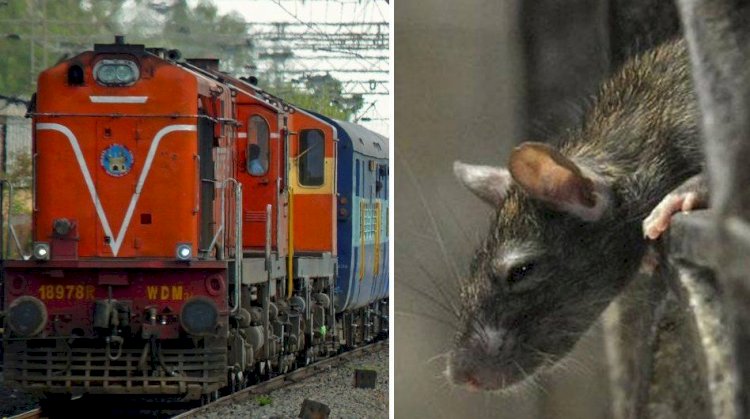 चूहे ने चलती ट्रेन का बजा दिया फायर अलार्म, ट्रेन में भगदड़ सी मच गई, जानें पूरी घटना 