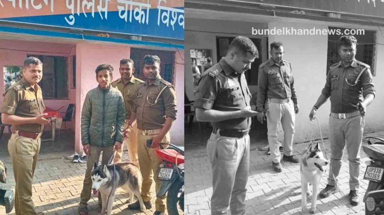 झांसी में  पुलिस का कमाल, कुछ ही घंटें में 1.80 लाख  कीमत का कुत्ता ढूँढ निकाला