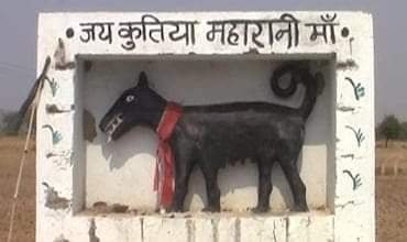झांसी में इस मंदिर पर लिखा हुआ है जय कुतिया महारानी मां, क्या है यह विचित्र कहानी ?