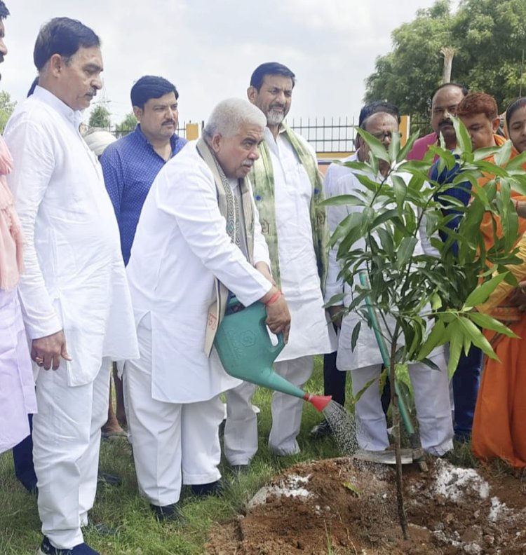 मंत्री, सांसद और सदर विधायक समेत भाजपा के पदाधिकारियों ने यहां लगाये पौधे