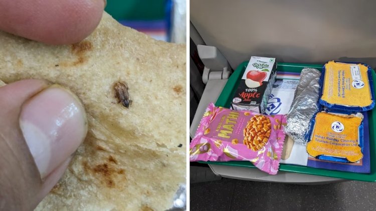 वंदे भारत ट्रेन में खाने में मिला कॉकरोच, IRCTC ने लिया एक्शन !