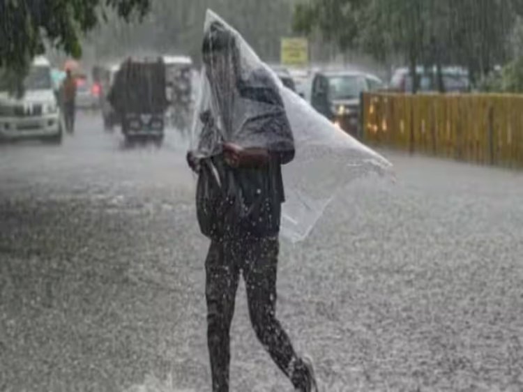 मध्य प्रदेश के 15 जिलों में भारी बारिश का अलर्ट इन जिलों में होगी बारिश 