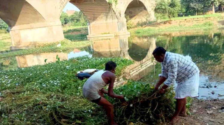 चित्रकूट : पुलघाट कर्वी से हुआ सफाई अभियान का शुभारंभ