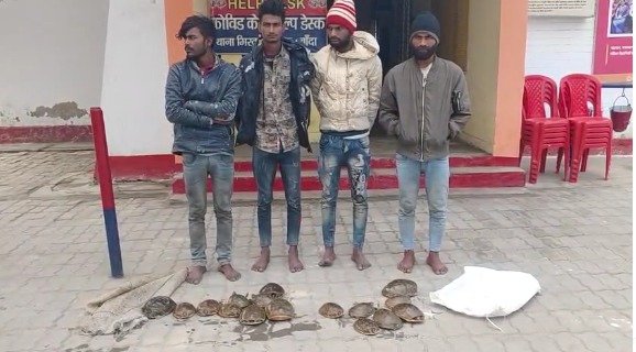 दुर्लभ प्रजाति के कछुआ की तस्करी करने वाले चार गिरफ्तार, 16 कछुए बरामद 
