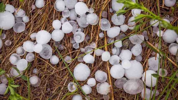 यूपी के 17 जिलों में बारिश का अलर्ट, झांसी और जालौन में गिरे ओले